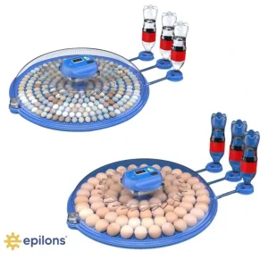 80 Tavuk 240 Kuş Yumurta Kapasiteli Çift Viyollü Kuluçka Makinesi - Kaz, Ördek, Tavuk, Bıldırcın İçin