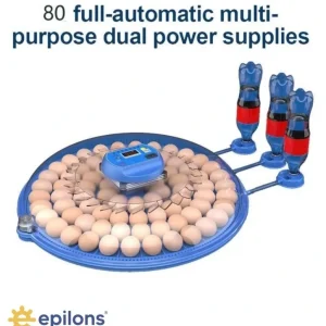 80 Yumurta Kapasiteli Otomatik Çiftlik Kuluçka Makinesi : Yumurta, Bıldırcın, Civciv Ve Kanatlılar İçin Mz-80